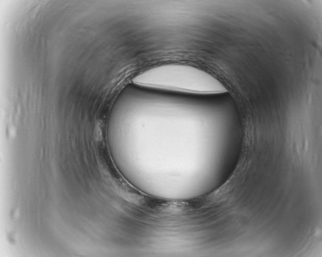 X0000100210128200805300734