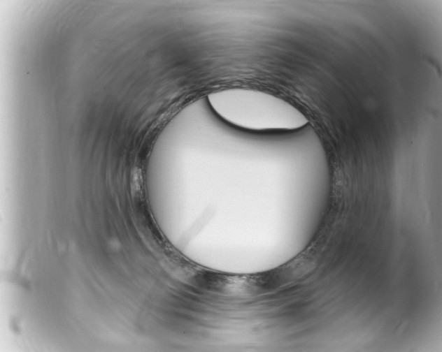 X0000100210130200805300734