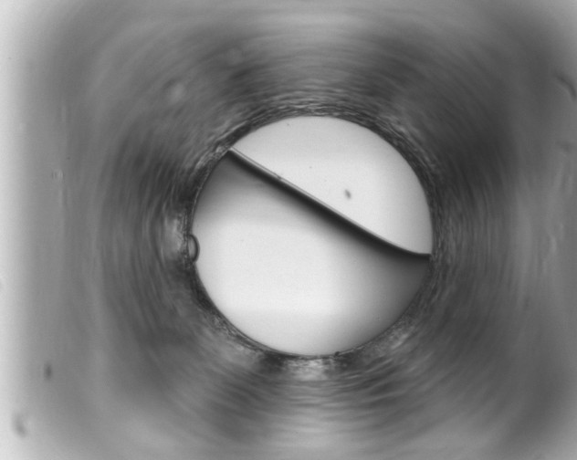 X0000100210131200805300734