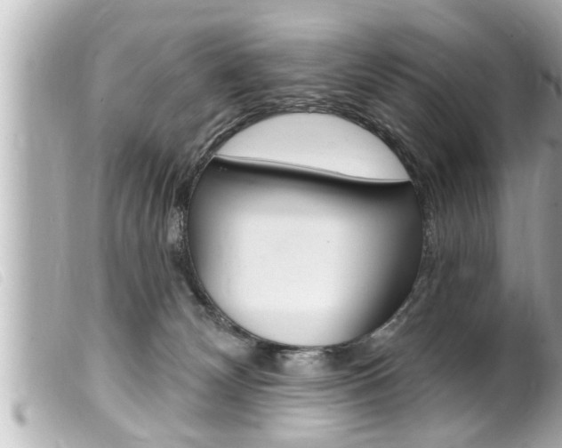 X0000100210132200805300734