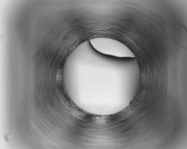 X0000100210134200805300734