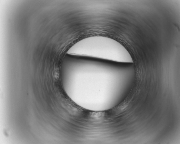 X0000100210135200805300734