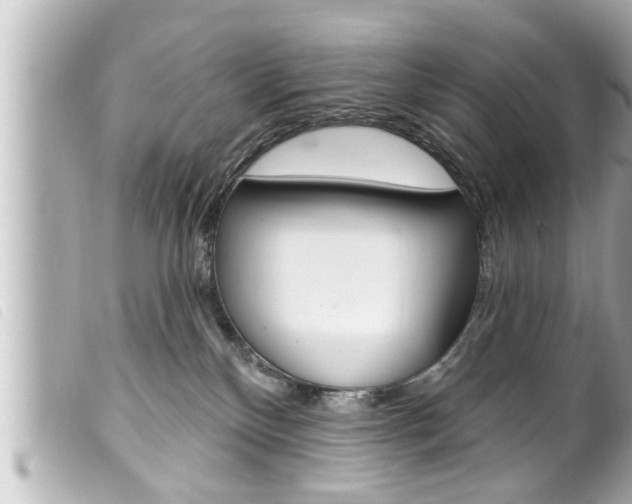X0000100210136200805300734