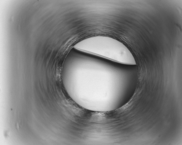 X0000100210140200805300734