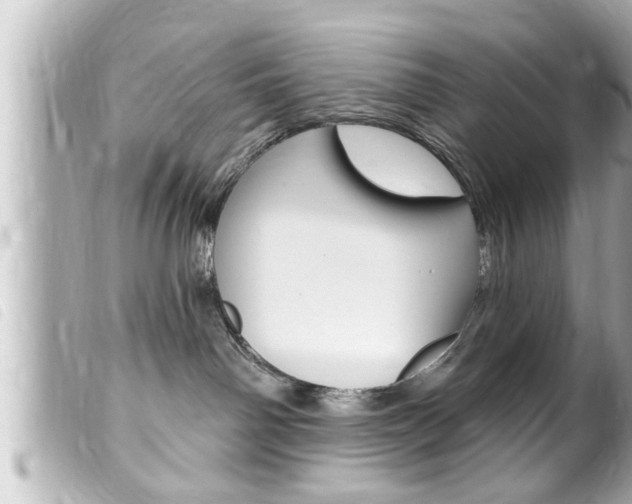 X0000100210142200805300734