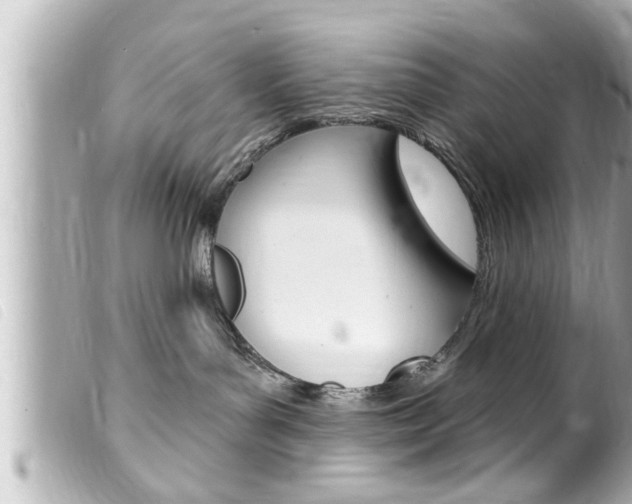 X0000100210143200805300734