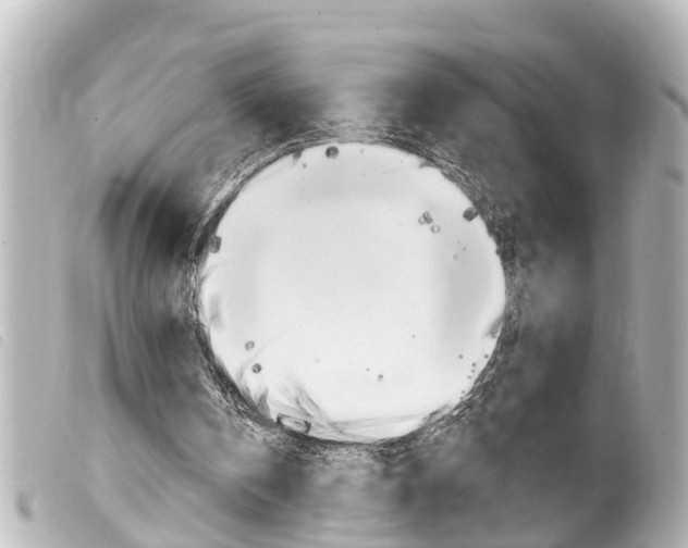 X0000100210146200805300733
