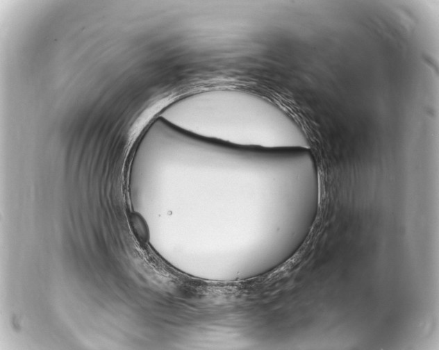 X0000100210147200805300733