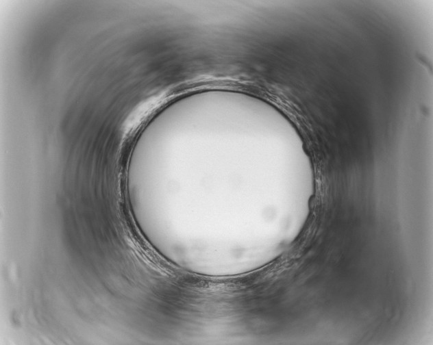 X0000100210149200805300733