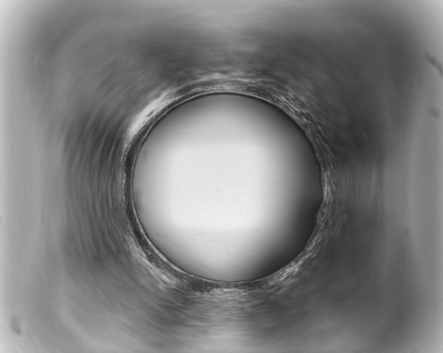 X0000100210150200805300733
