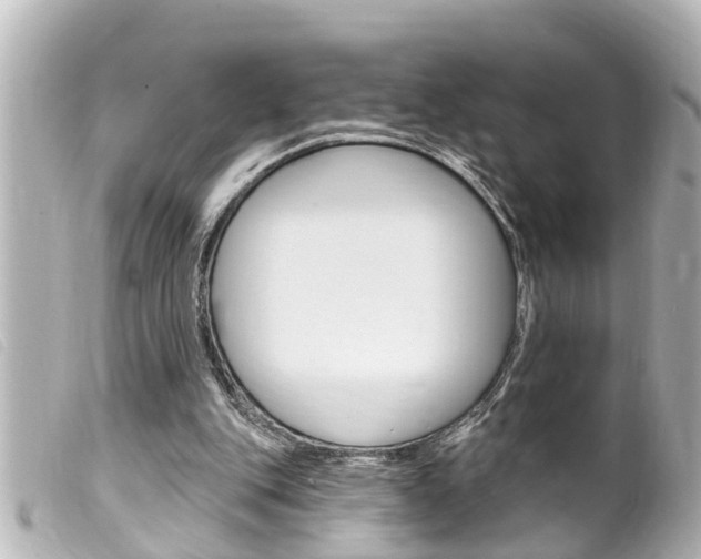 X0000100210151200805300733