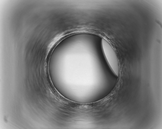 X0000100210152200805300733