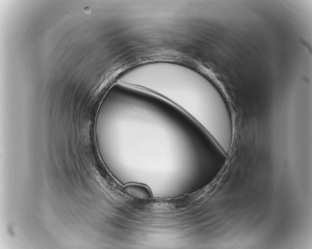 X0000100210154200805300733