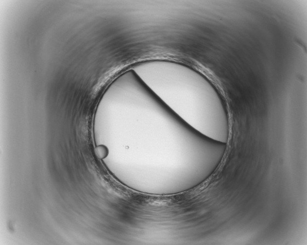 X0000100210155200805300733