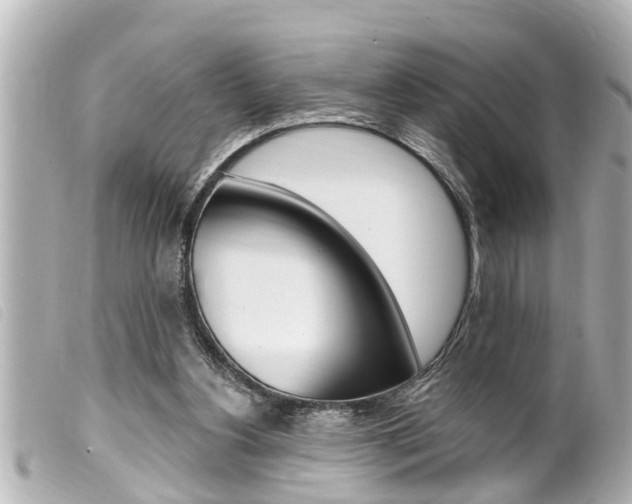 X0000100210156200805300733