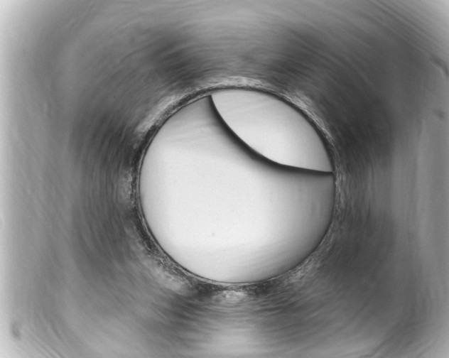 X0000100210159200805300733