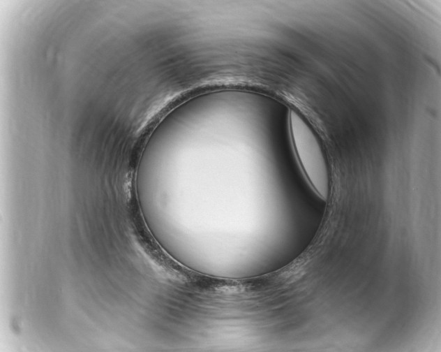 X0000100210160200805300733