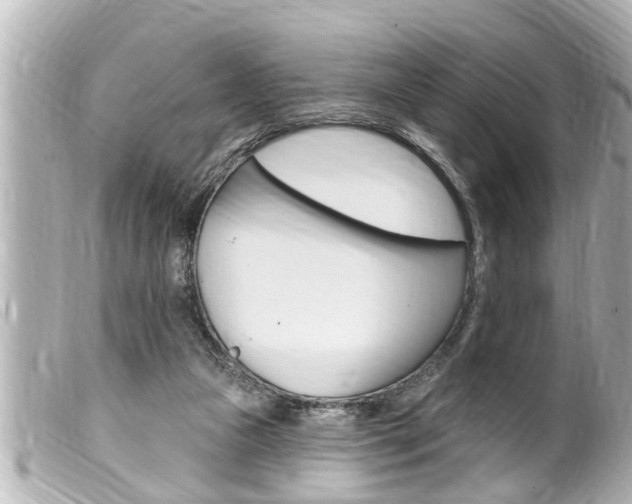 X0000100210161200805300733