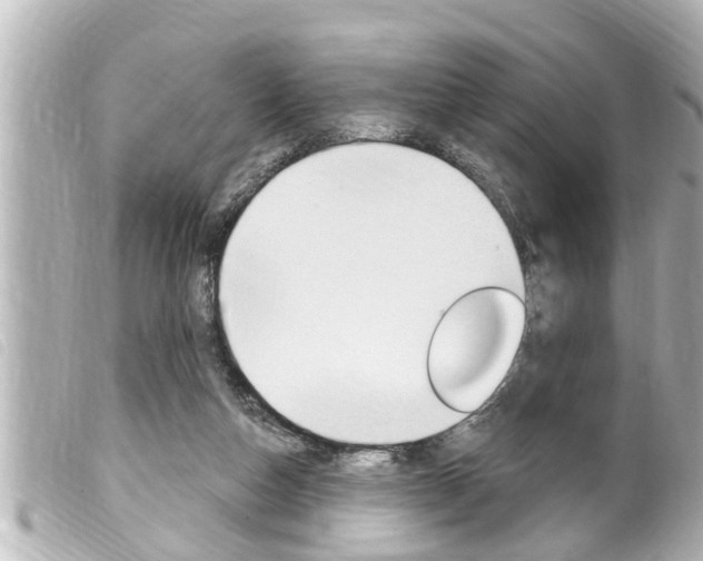 X0000100210162200805300733