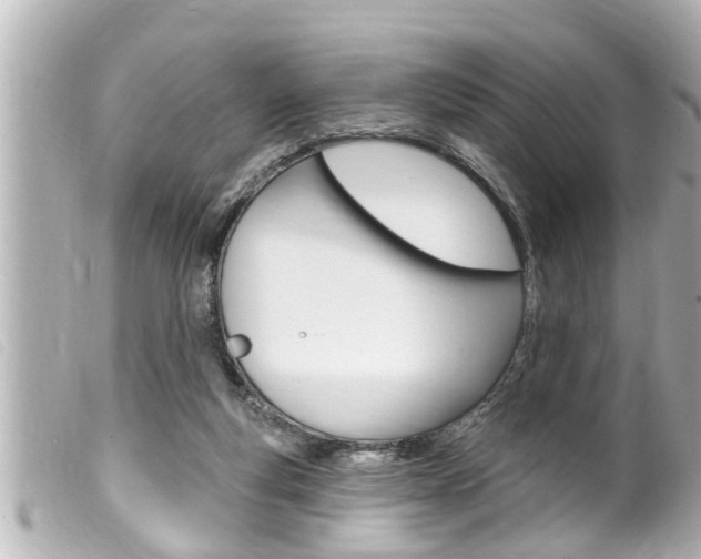 X0000100210163200805300733