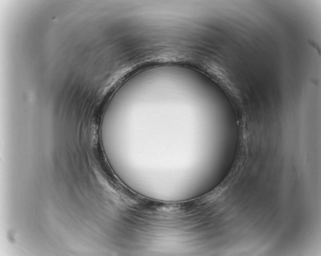 X0000100210164200805300733