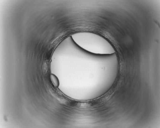 X0000100210165200805300733