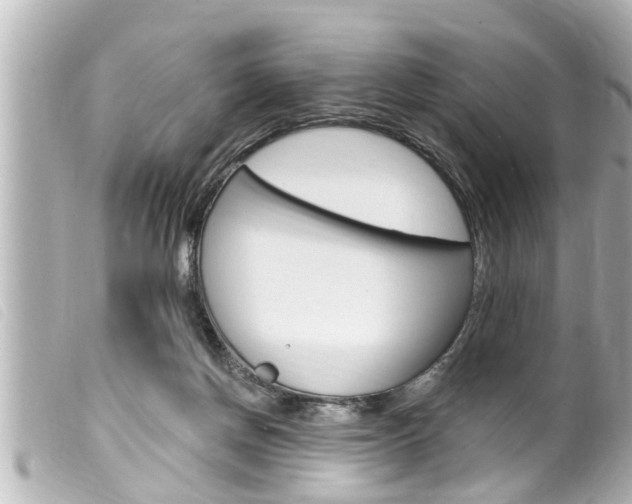 X0000100210166200805300733