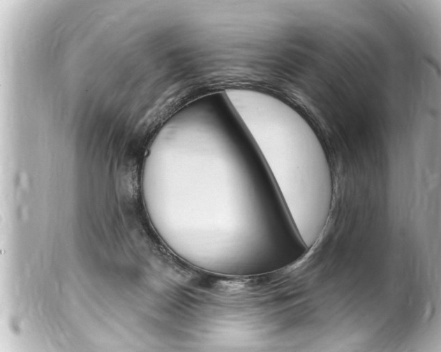 X0000100210170200805300733