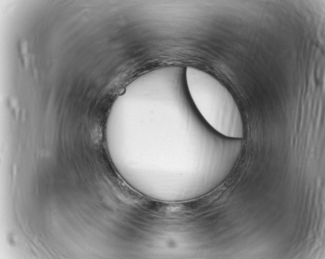 X0000100210173200805300734