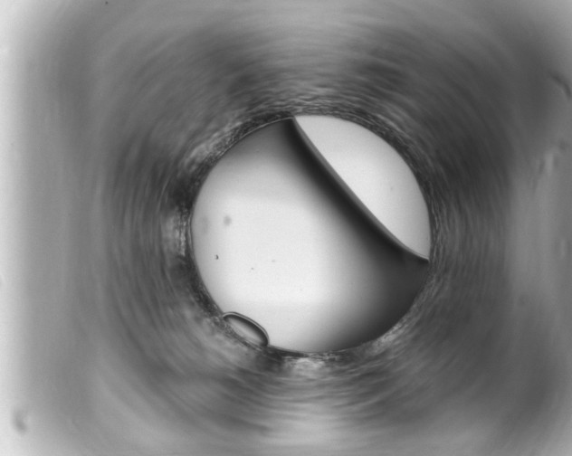 X0000100210180200805300734