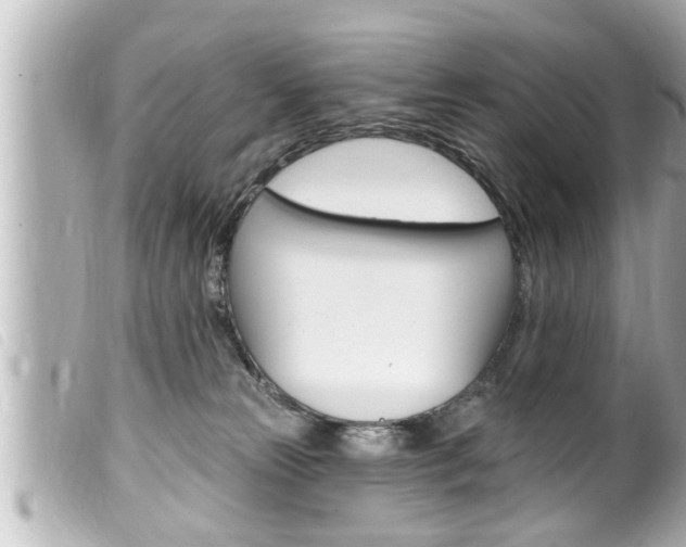 X0000100210181200805300734