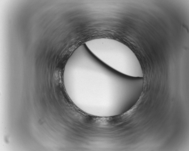 X0000100210182200805300734