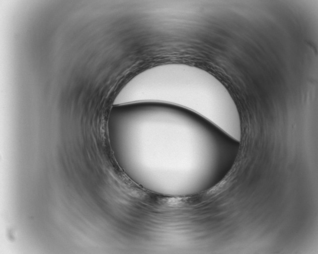 X0000100210184200805300734