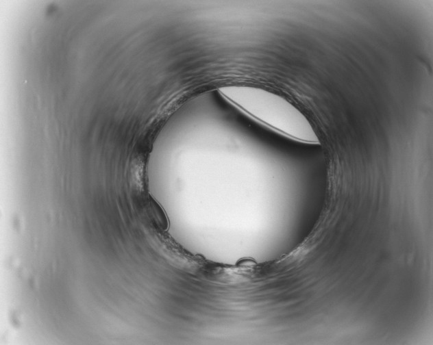 X0000100210188200805300734