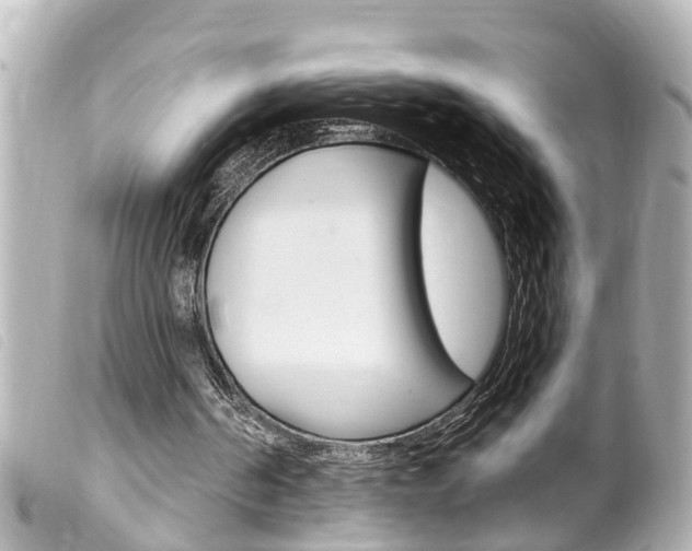 X0000100210194200805300733