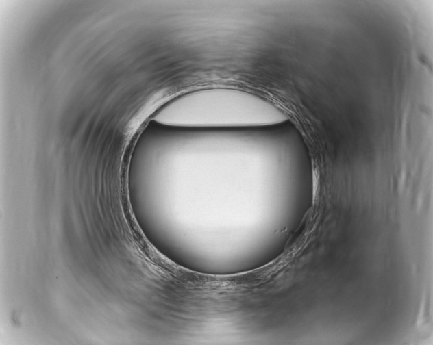 X0000100210195200805300733