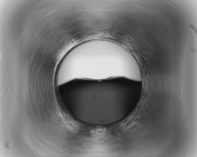 X0000100210196200805300733