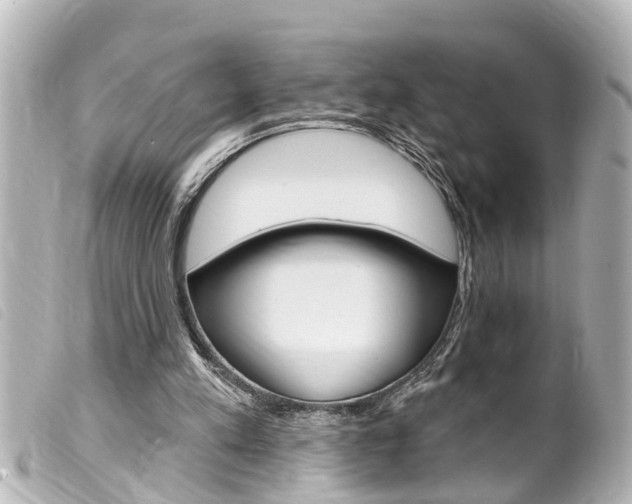 X0000100210197200805300733