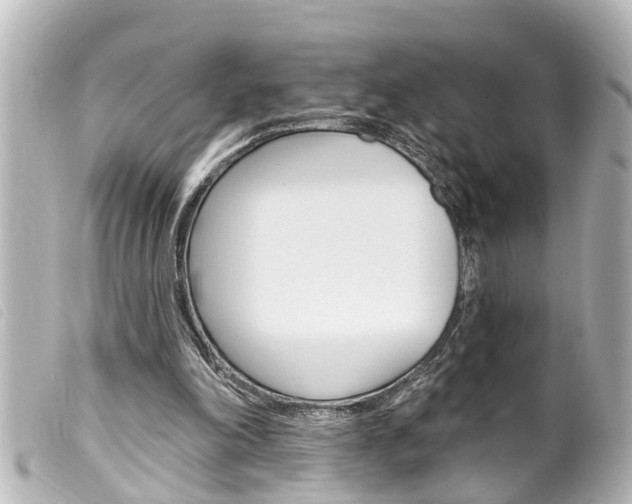 X0000100210198200805300733