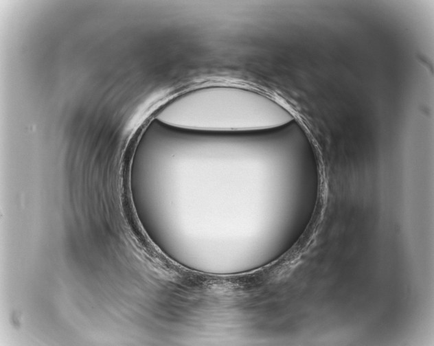 X0000100210199200805300733