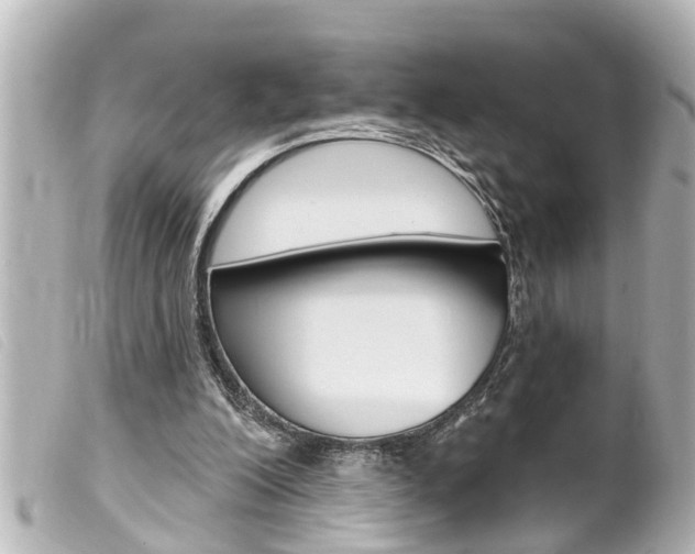 X0000100210200200805300733