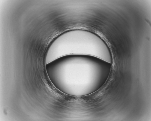 X0000100210201200805300733