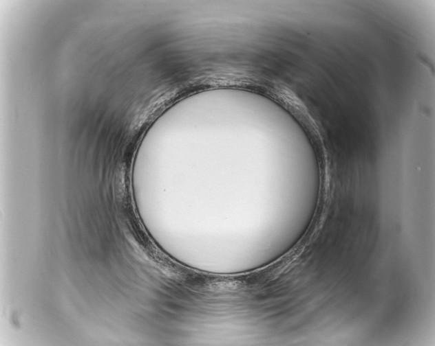 X0000100210202200805300733