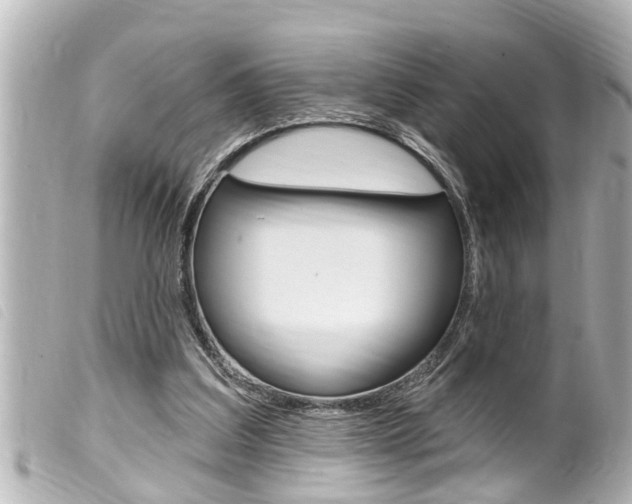 X0000100210203200805300733