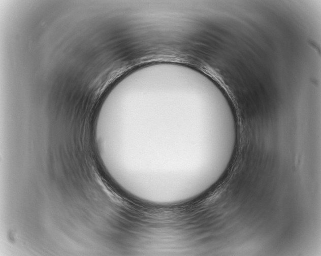 X0000100210205200805300733