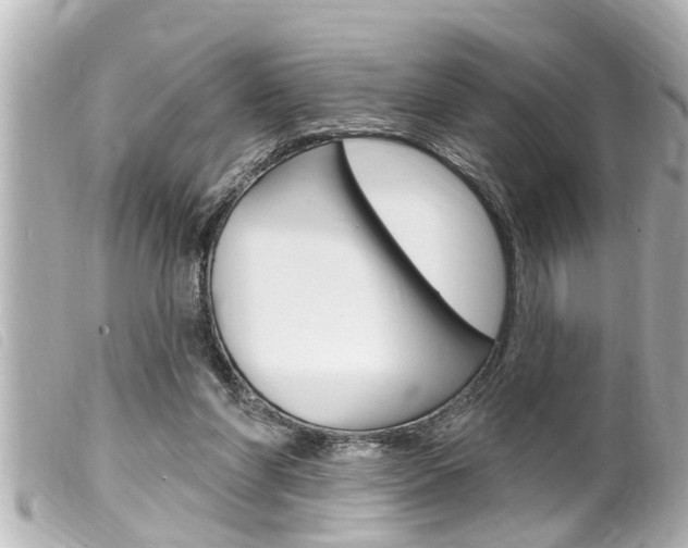 X0000100210206200805300733