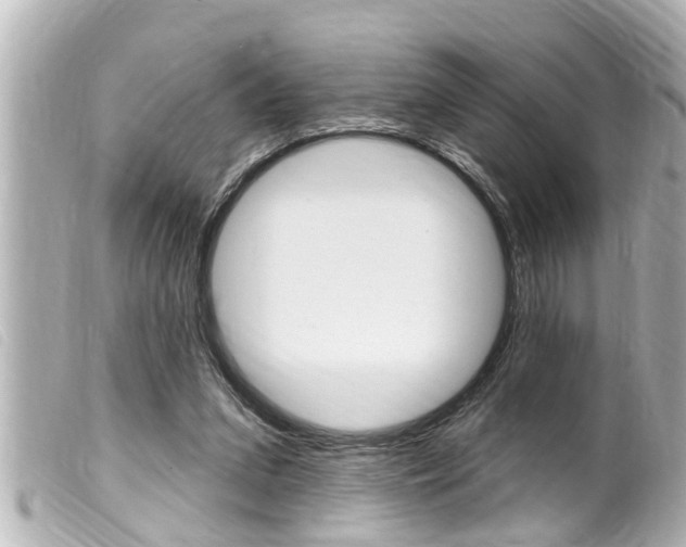 X0000100210207200805300733