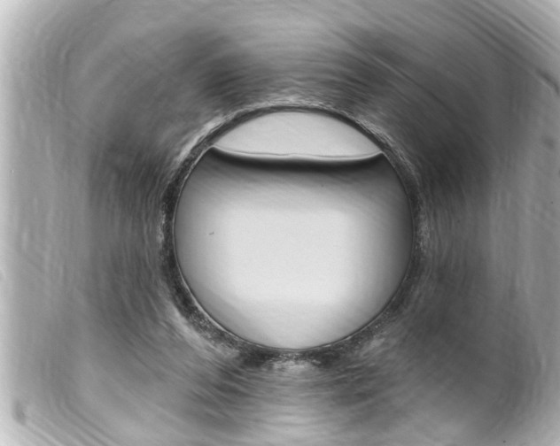 X0000100210208200805300733