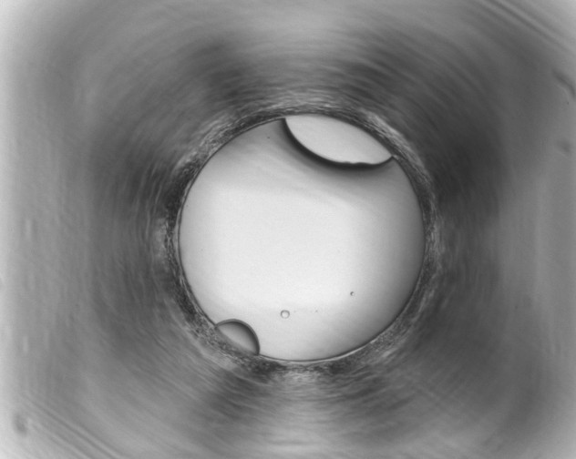 X0000100210209200805300733