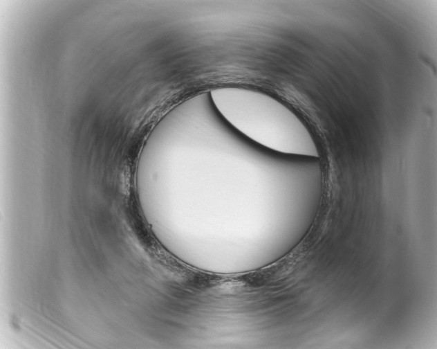 X0000100210210200805300733